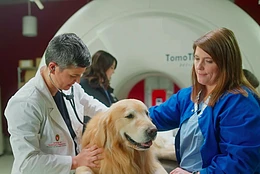 Неврологические проблемы у собак: почему размер имеет значение