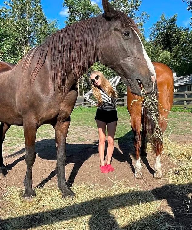 От красной дорожки к курятнику: почему голливудские звезды массово сбегают на фермы