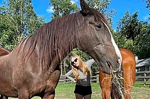 От красной дорожки к курятнику: почему голливудские звезды массово сбегают на фермы