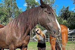 От красной дорожки к курятнику: почему голливудские звезды массово сбегают на фермы