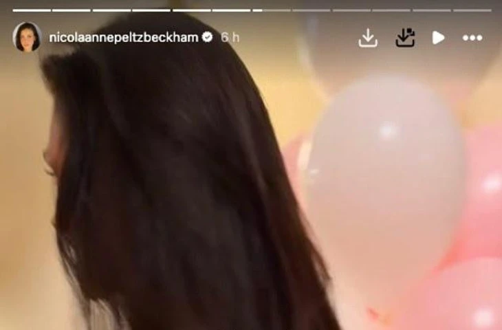 Бруклин Бекхэм отметил день рождения Николы Пельтц в стиле розовой балерины