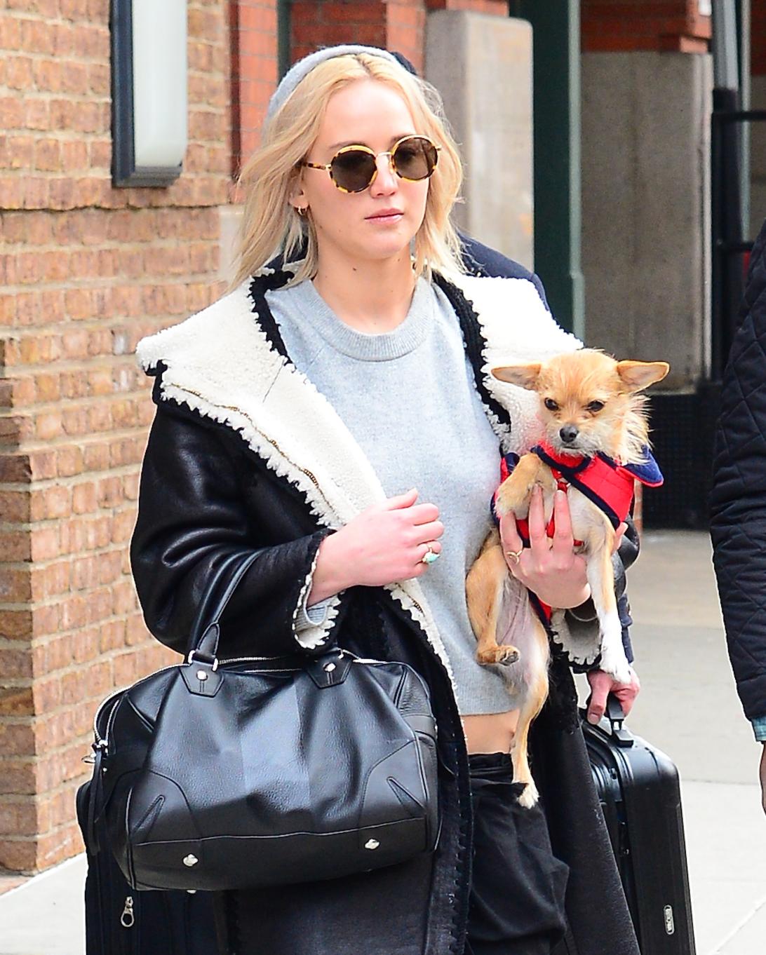 Дженнифер Лоуренс названа «отвратительной» после признания, что она избавилась от своей собаки