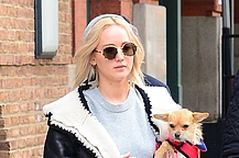 Дженнифер Лоуренс назвали «отвратительной» после признания, что она пристроила свою чихуахуа по кличке Принцесса Пеппи Длинныйчулок, поскольку та укусила ее сына