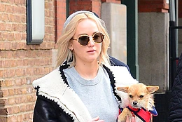 Дженнифер Лоуренс назвали «отвратительной» после признания, что она пристроила свою чихуахуа по кличке Принцесса Пеппи Длинныйчулок, поскольку та укусила ее сына