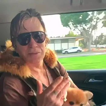 От голливудской звезды до грани выселения: Микки Рурк борется с финансовыми трудностями