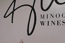 Кайли Миноуг демонстрирует потрясающую форму и расширяет свою империю