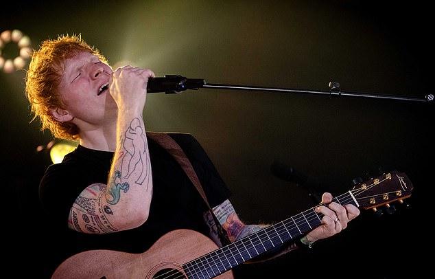 Поклонники Эда Ширана подверглись критике за плохое поведение на концертах