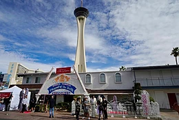 Зендая появилась на свадьбе в Лас-Вегасе во время продвижения своего нового фильма, вновь подогрев слухи о ее браке с Томом Холландом