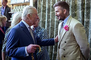 Дэвид Бекхэм представит собственный сад на Цветочной выставке в Челси