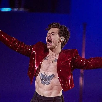 Гарри Стайлс, как сообщается, потратил 20 000 фунтов стерлингов на инфракрасную сауну для восстановления мышц в своем доме в Северном Лондоне