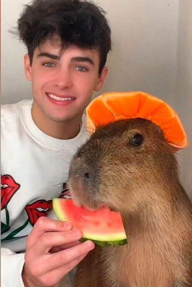 Томас, с 34 миллионами подписчиков в TikTok, станет ведущим "Blue Peter".