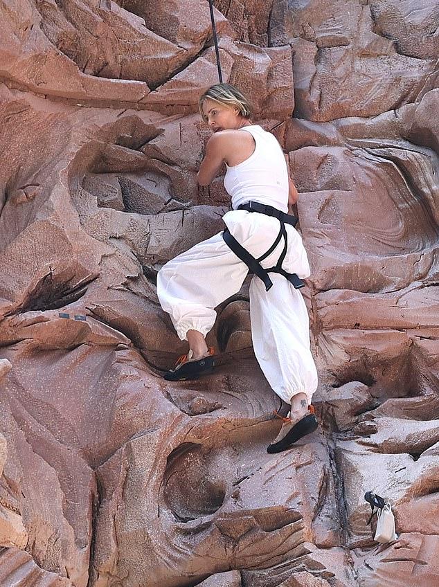 Оскароносная актриса Шарлиз Терон, привыкшая покорять вершины, демонстрируя свой значительный талант, пошла на крайние меры в актерской игре для продвижения своего нового фильма о выживании «Вершина»