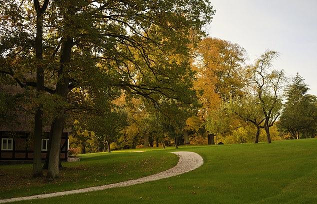 Я нахожусь в кабинете для консультаций в Park am See Nattika, аюрведическом ретрите в природном заповеднике площадью почти 25 000 акров, всего в 80 милях от Берлина