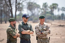 Принц Гарри покинул совет директоров организации African Parks на фоне скандала с правами человека и возвращения в Великобританию