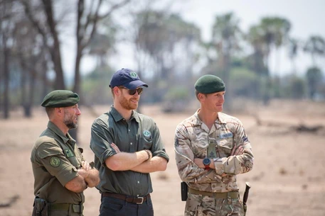 Принц Гарри покинул совет директоров организации African Parks на фоне скандала с правами человека и возвращения в Великобританию